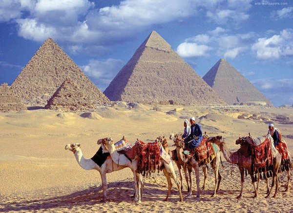 Egypt pyramids and camels
