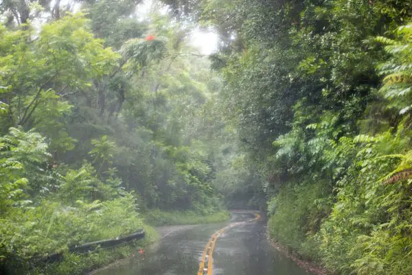 Rainy day in Maui