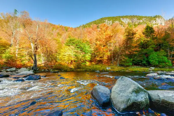 Adirondack Peak autumn foliage in upstate New York along the Ausable River.